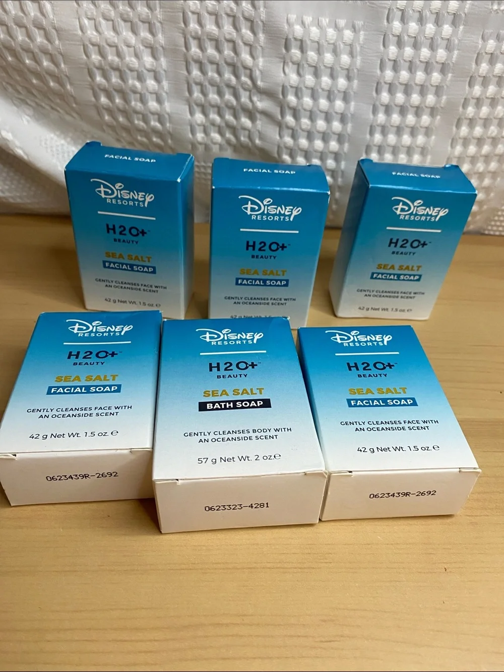 H20+ disney resorts